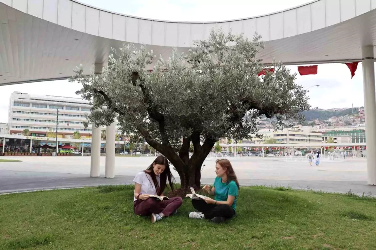 Kocaeli’de İzmit Milli İrade Meydanı’na 316 Ağaç Dikildi