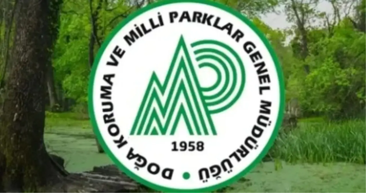 Doğa Koruma ve Milli Parklar Genel Müdürlüğü personel alımı başvuru tarihleri: DKMP personel alımı şartları neler, başvuruları nereden, nasıl yapılır?