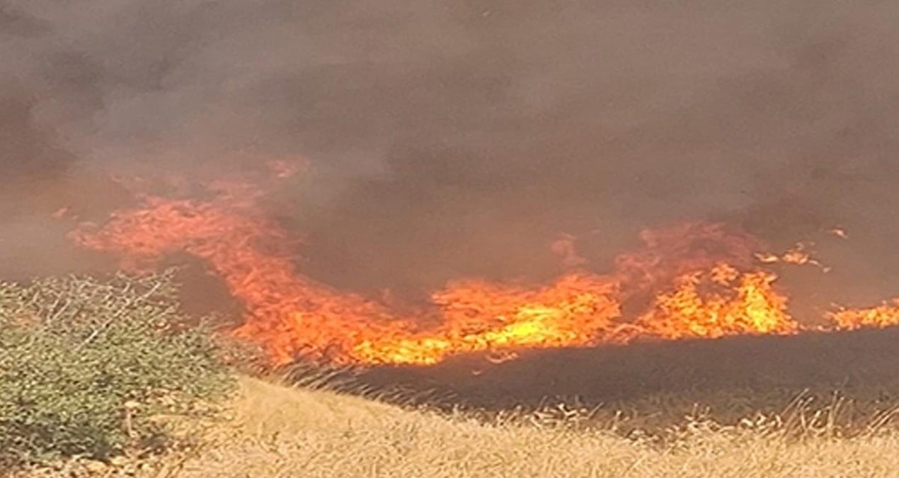 İzmir’de anızda çıkıp ağaçlık alana sıçrayan yangın söndürüldü