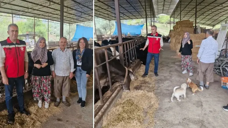 Kendi işletmesini kurdu, kazancı katlandı: Kadın girişimcinin büyük başarısı