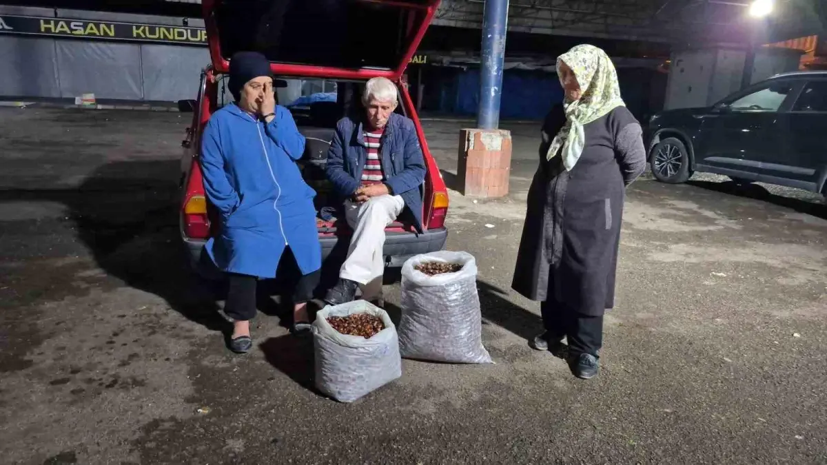Kuraklık Kestane Rekoltesini Vurdu: Fiyatlar Yükseliyor