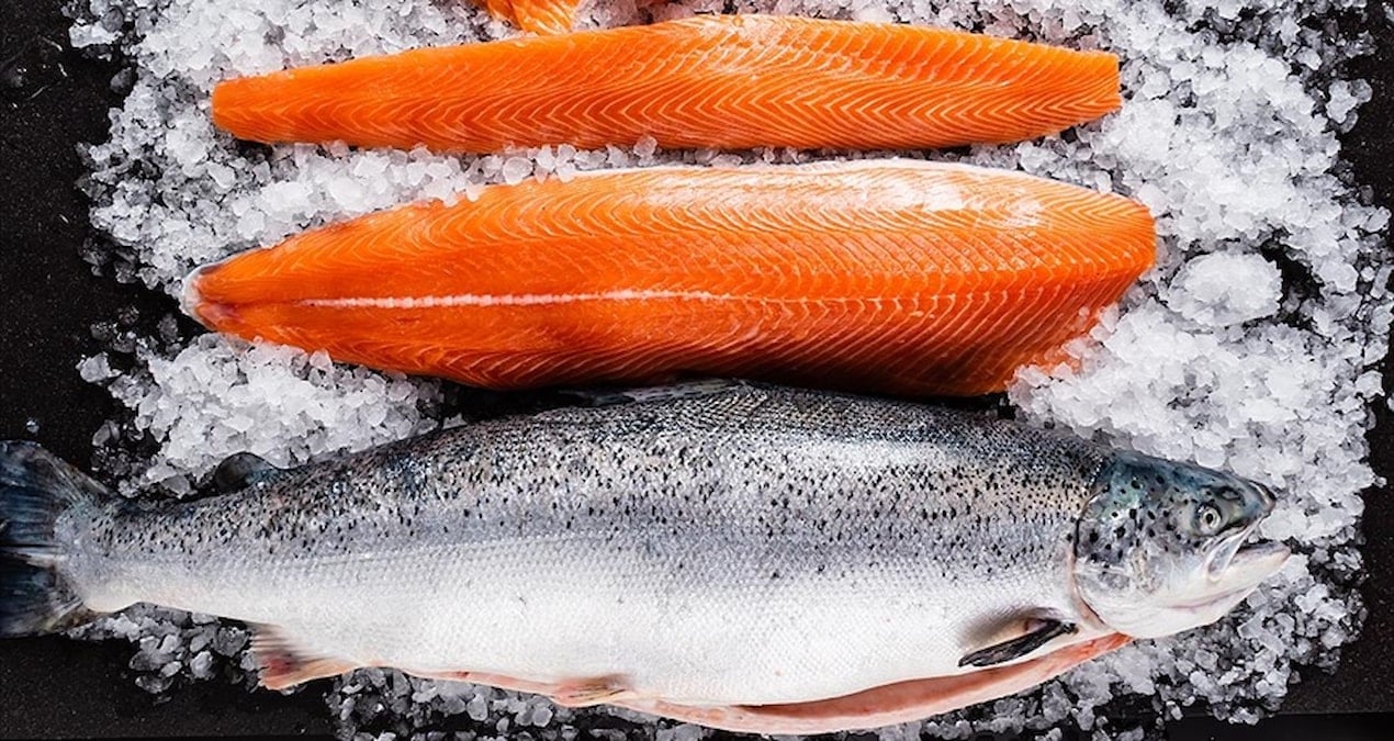 Doğu Karadeniz Türk somonu ihracatında rekor kırdı