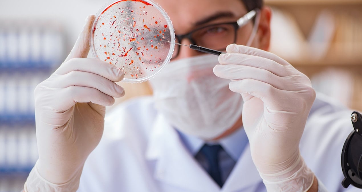 30 yıl sonra yeniden hortladı, Avrupa alarma geçti: Veba laboratuardan mı yayıldı?