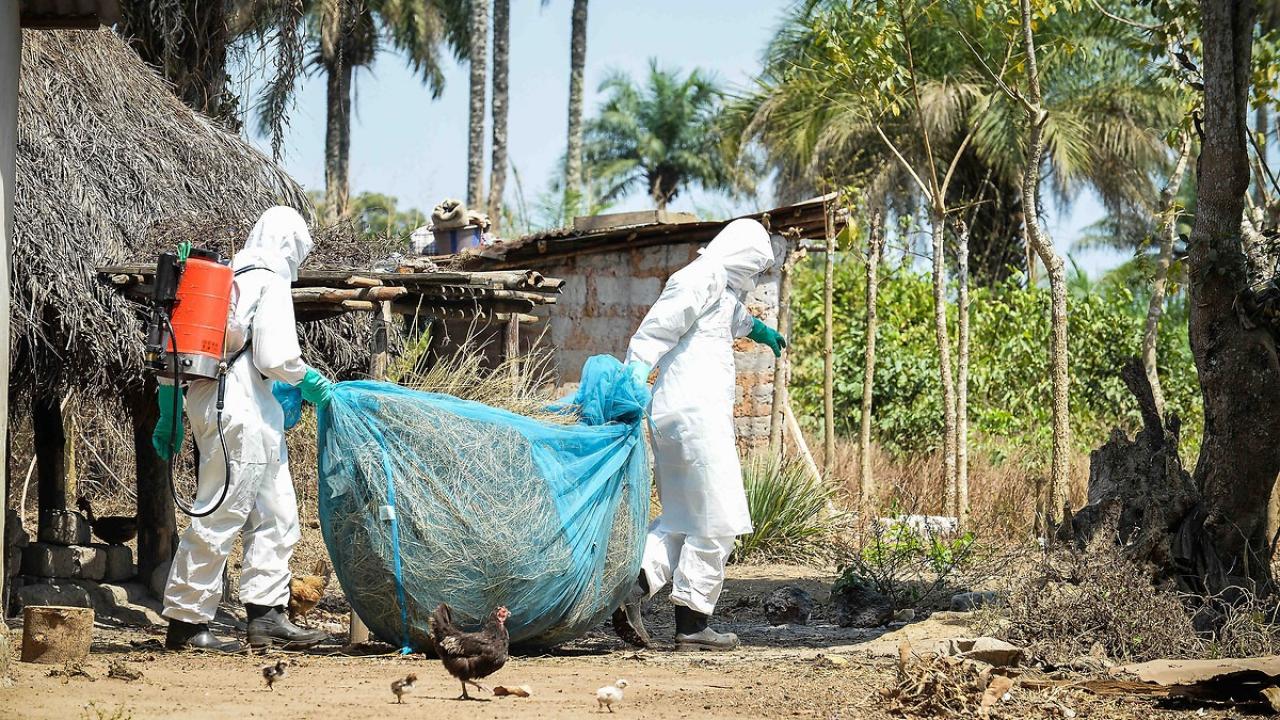 Kongo’da Ebola salgını sona erdi