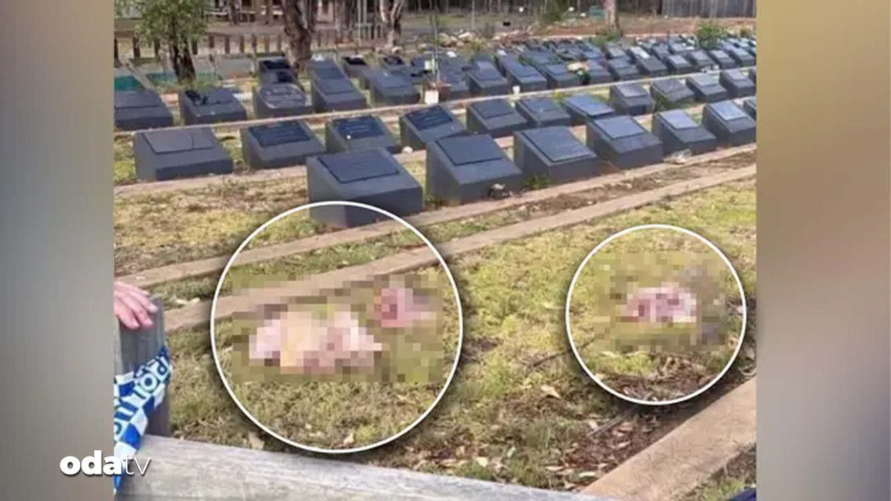 Yahudilerin hedef alınmasının ardından… Müslüman mezarlığına domuz kafaları bırakıldı