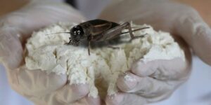 bu-unun-yuzde-60i-protein-ispanaktan-daha-cok-demir-iceriyor-ama-tek-bir-kotu-UFKNtaPf