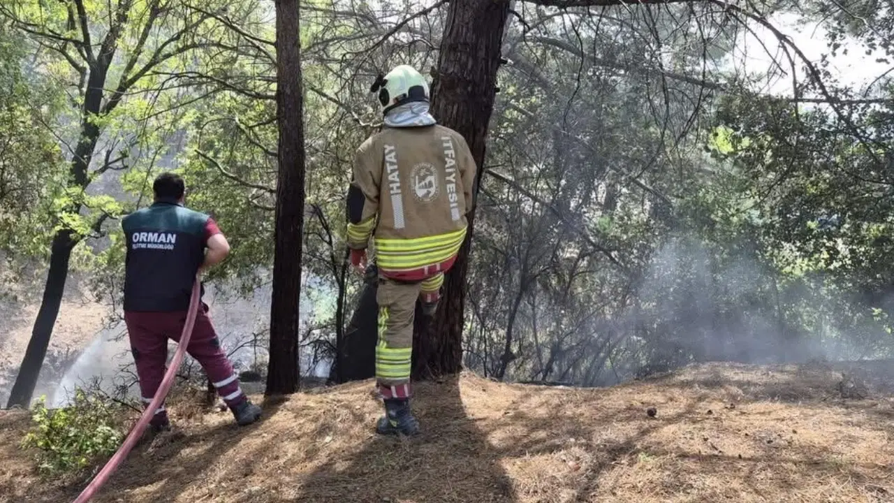 İskenderun Orman Yangını Hızla Kontrol Altına Alındı