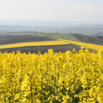 Muratlı’da Tarımda Yenilikçi Yaklaşımlar ve Destekleme Modelleri