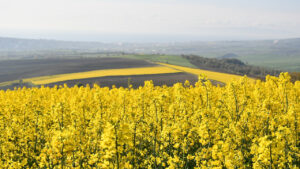 verimli-bolgede-tarimda-yeni-donem-9XUrS4cZ