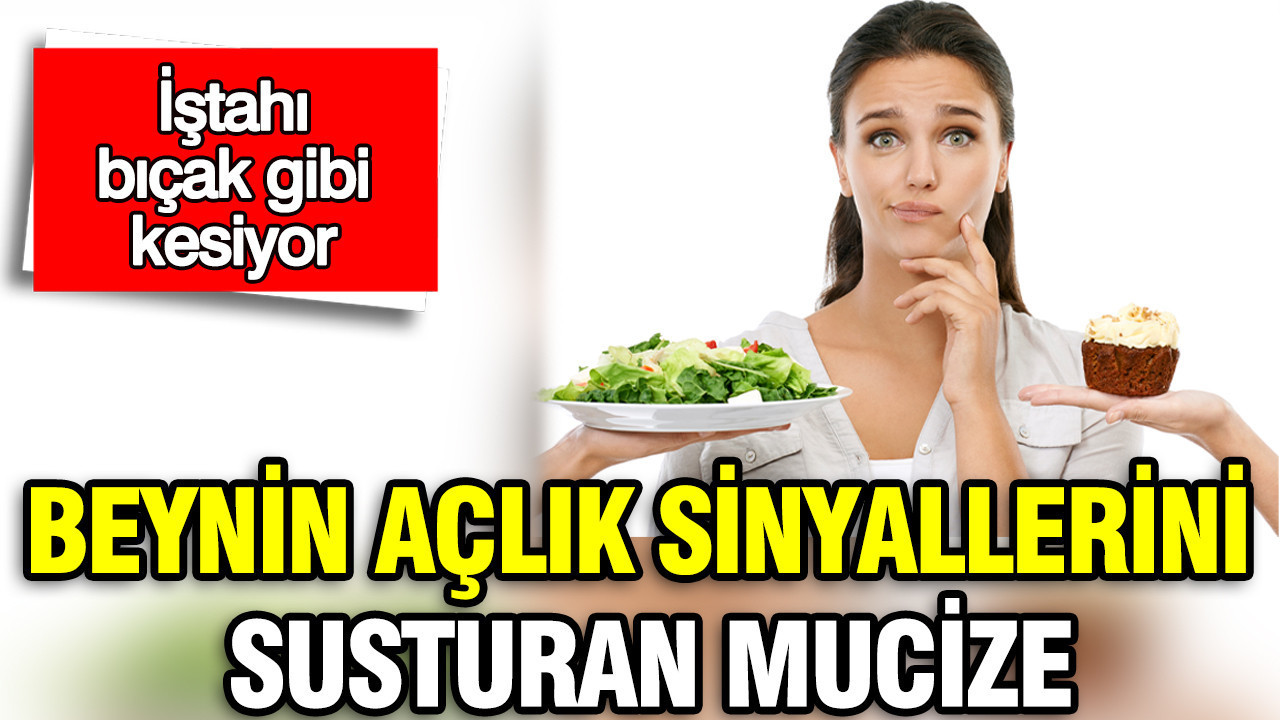 beynin-aclik-sinyallerini-susturan-mucize-2026nin-istah-kesen-gizli-kahramanlari-d88QItvT