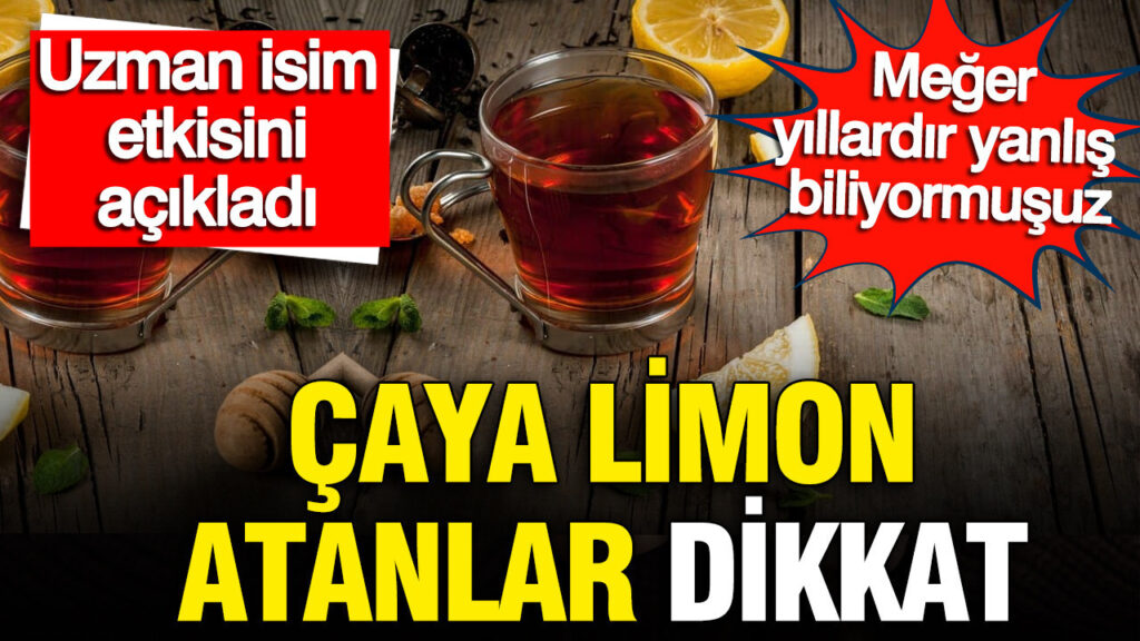 Aşk ve Taht Dizisinde Akın Akınözü’nün Anneliğini Ünlü Oyuncu Ceyda Düvenci Üstlenecek!