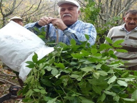 Haber gorseli
